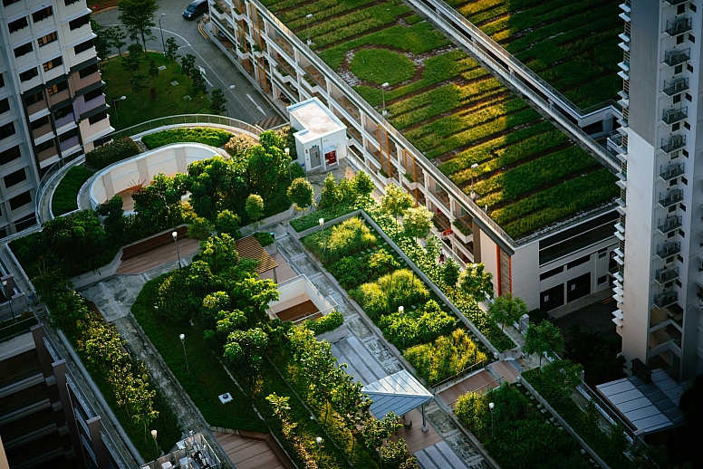 green roofs